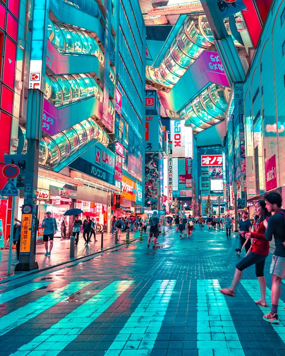 Tokyo at night.